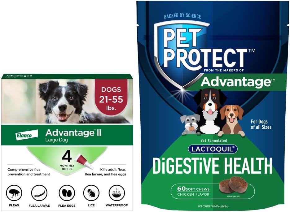 Advantage II Large Dog 21–55 lbs + Digestive Health Chews