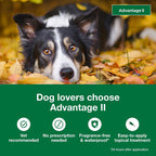 Advantage II Large Dog 21–55 lbs + Digestive Health Chews