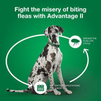 Advantage II XL Dog Flea Treatment – 4 Count