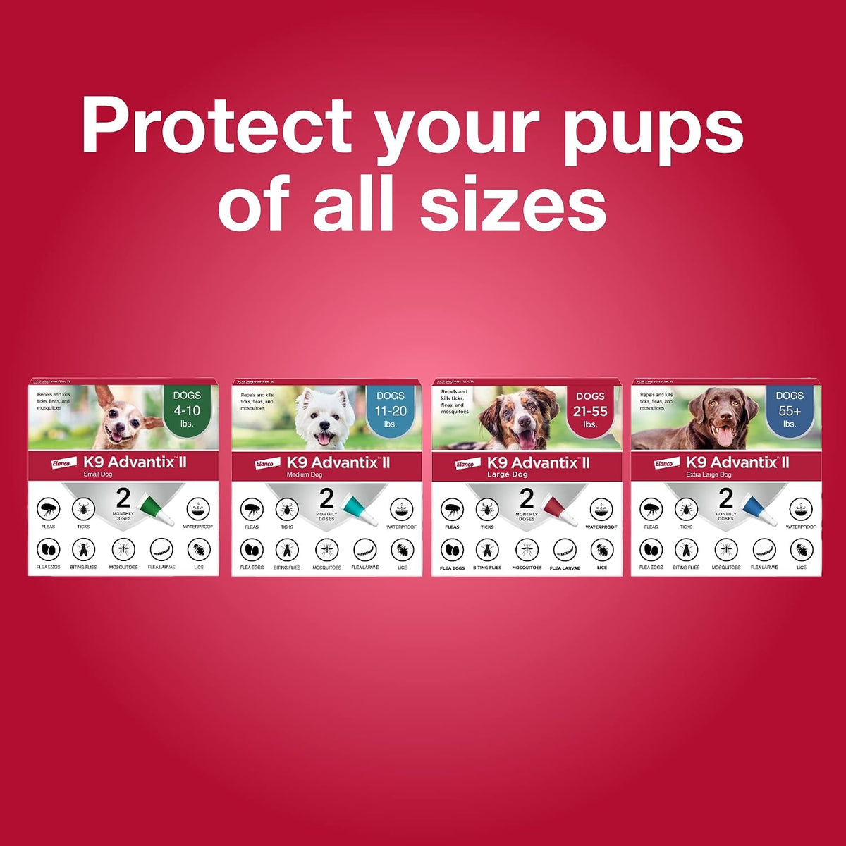 K9 Advantix II Flea & Tick Treatment – Small Dogs 4–10 lbs