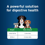 Advantage II Large Dog 21–55 lbs + Digestive Health Chews