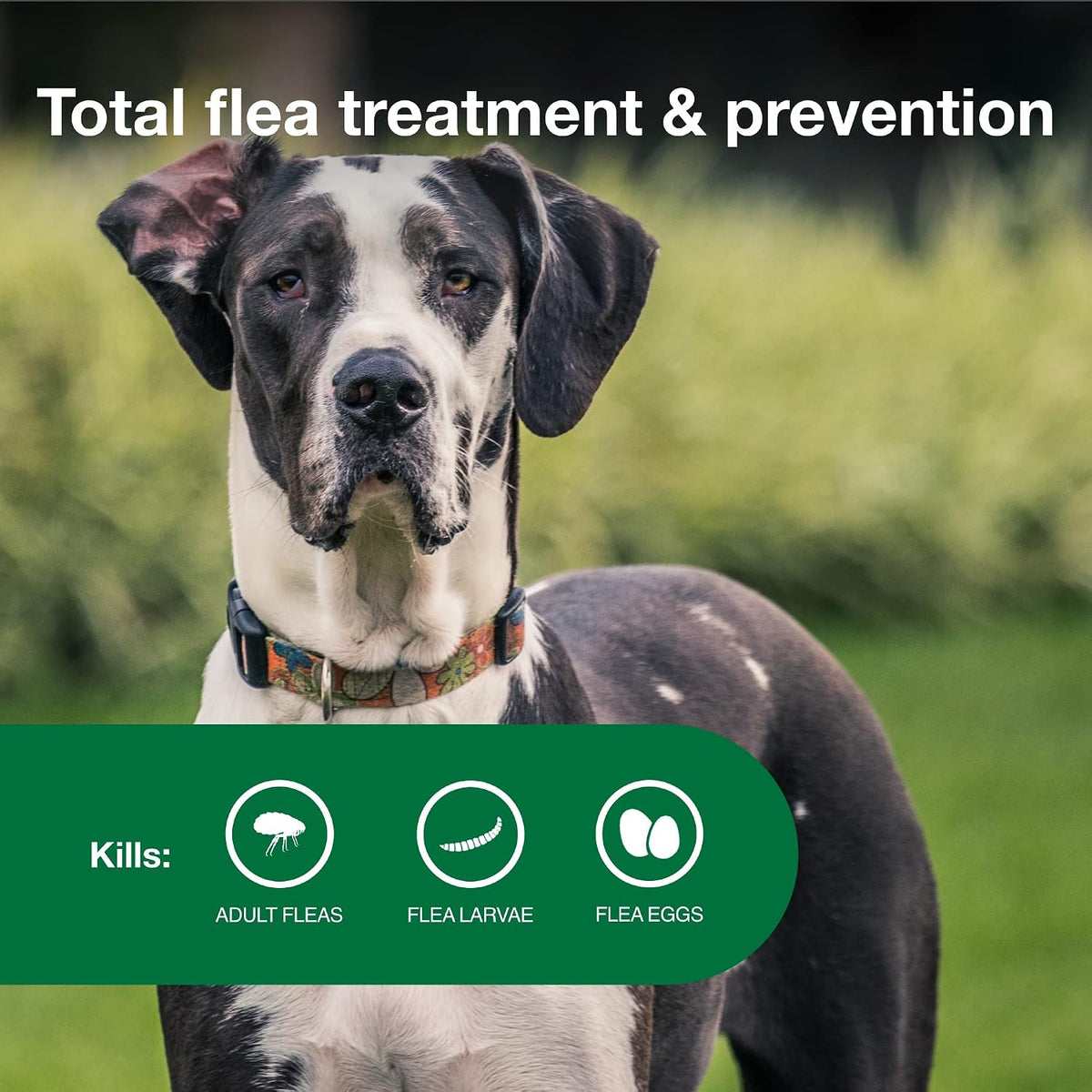 Advantage II XL Dog Flea Treatment – 4 Count