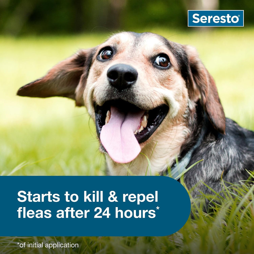 Seresto Small Dog Flea & Tick Collar Under 18 lbs – 8 Months Protection