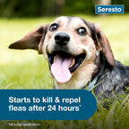 Seresto Small Dog Flea & Tick Collar Under 18 lbs – 8 Months Protection
