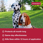 K9 Advantix II Flea & Tick Treatment – Small Dogs 4–10 lbs