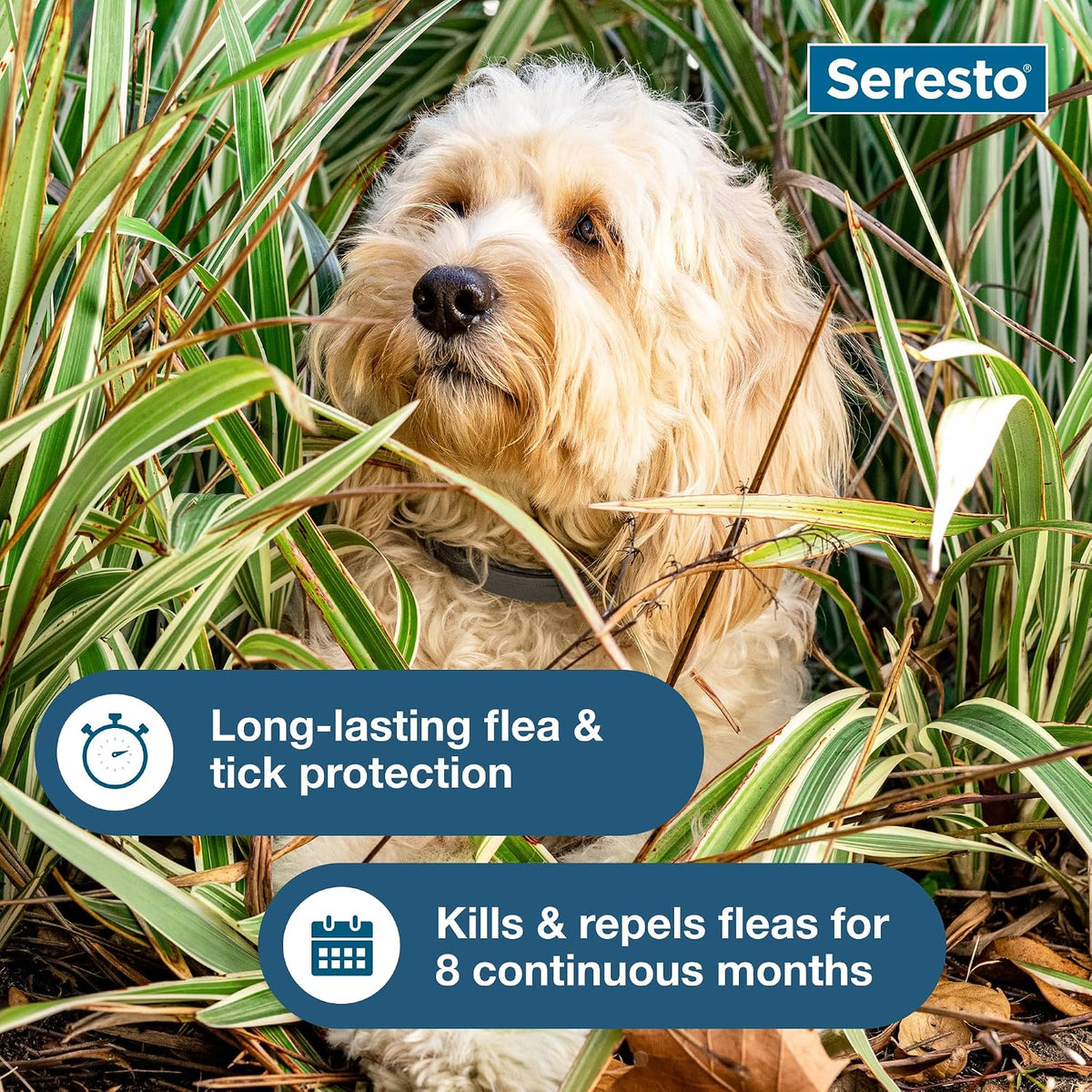 Seresto Small Dog Flea & Tick Collar Under 18 lbs – 8 Months Protection