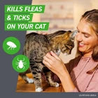 FRONTLINE Plus Flea & Tick Treatment for Cats – 6 Treatments