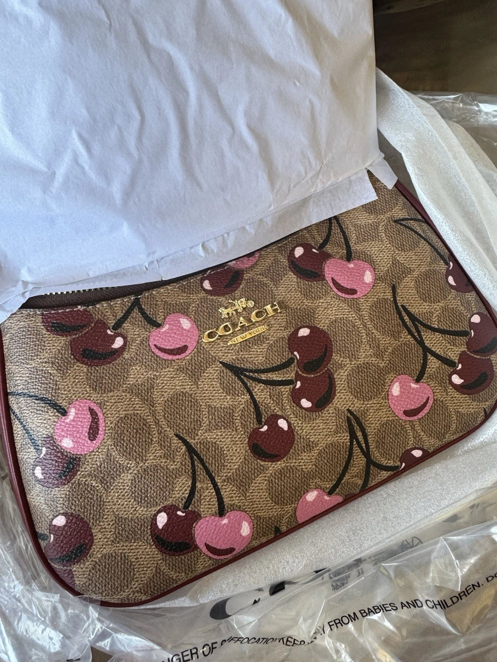 NWT Coach Teri Shoulder Bag Signature Canvas Cherry Print CY694