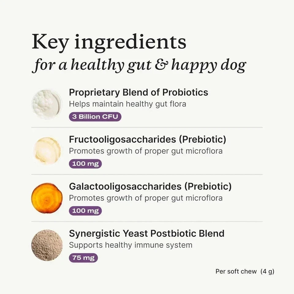 PetLabCo. Probiotic Chews for Dogs – 2 Pack Gut & Digestive Support