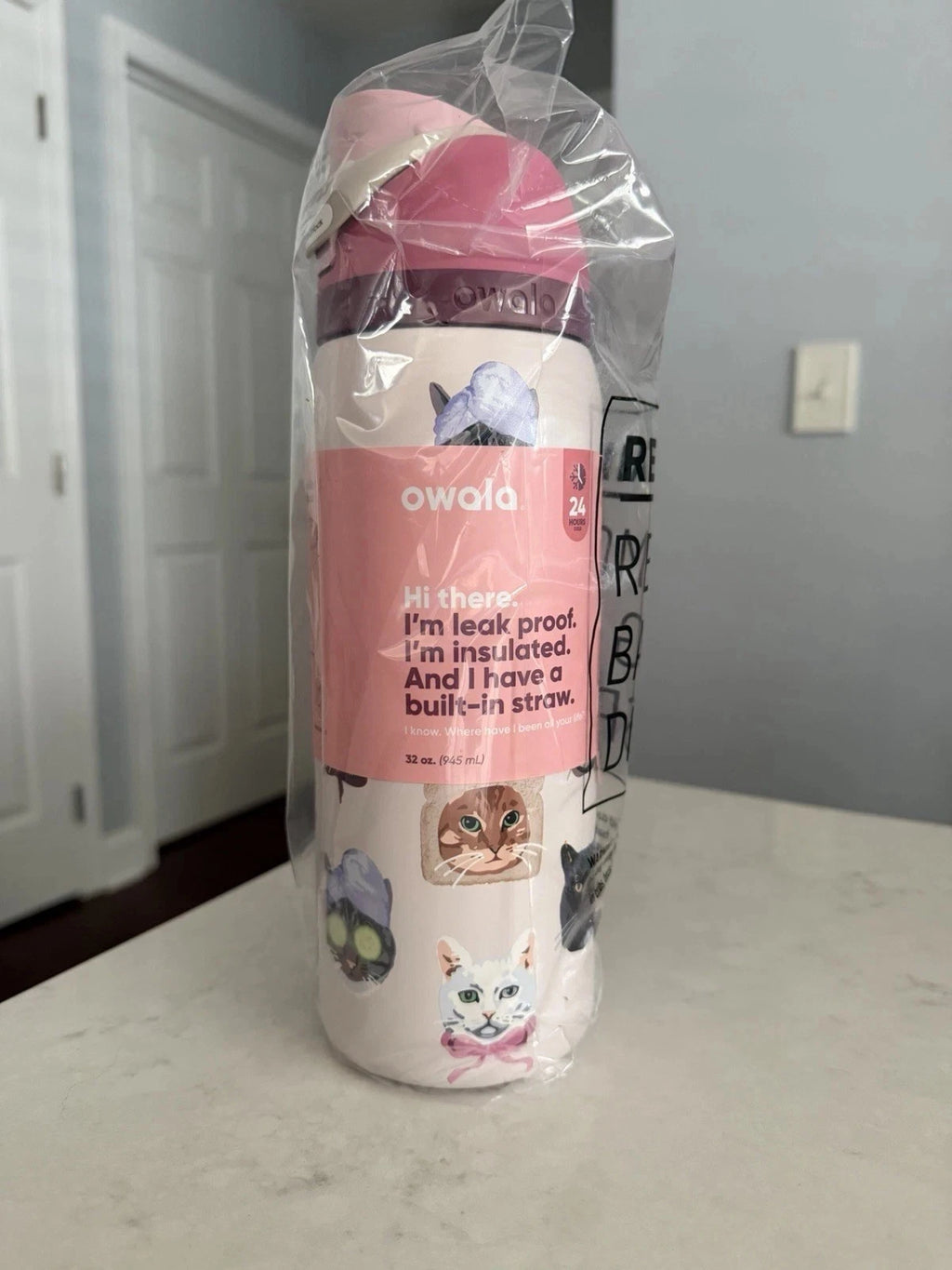 Owala UO Exclusive Cat Collage 32oz FreeSip Water Bottle Pink – New in Box