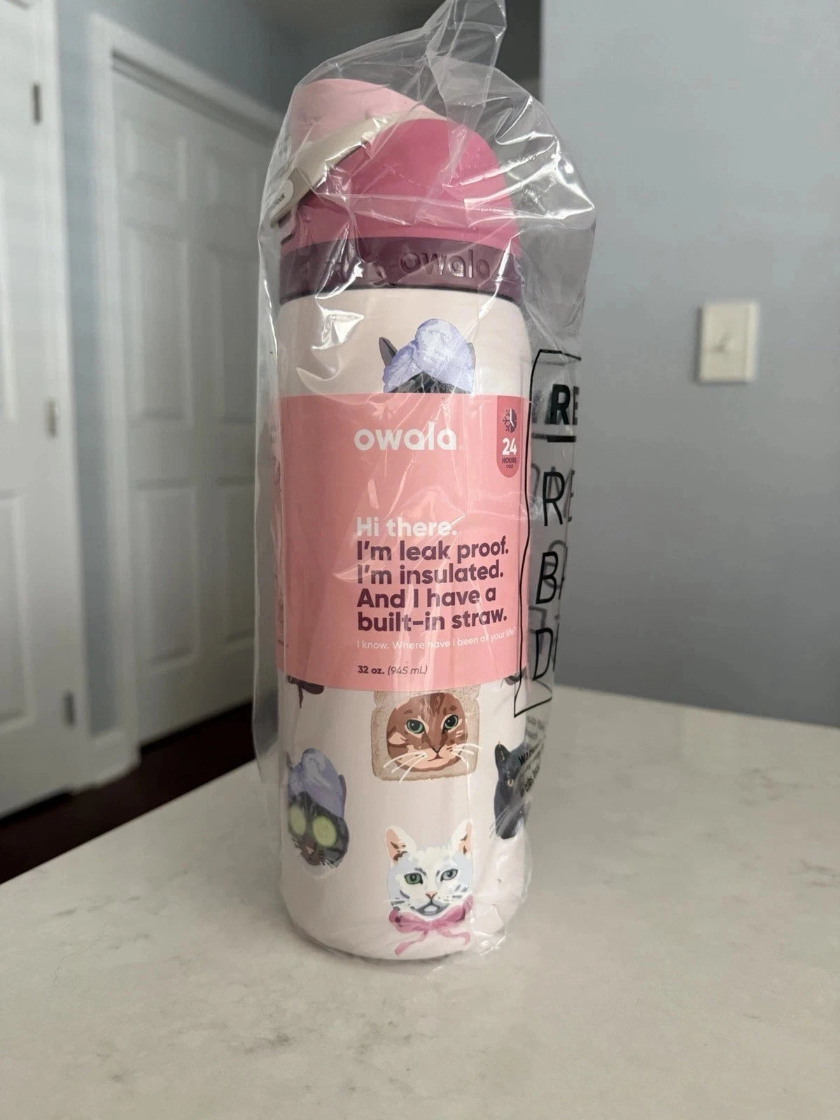 Owala UO Exclusive Cat Collage 32oz FreeSip Water Bottle Pink – New in Box